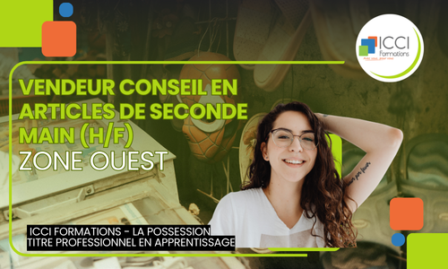 Vendeur en Article de seconde main Ouest