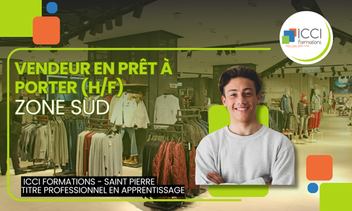 Vendeur en PAP 2 SUD