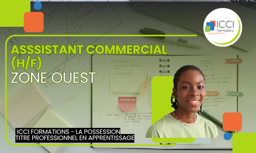 Assistant commercial OUEST