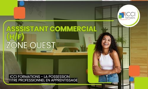 Assistant commercial 2 Ouest
