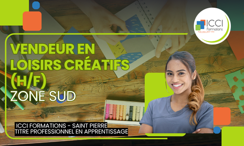 Vendeur en Loisirs Creatifs SUD