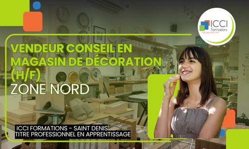 Vendeur en Magasin de decoration Nord