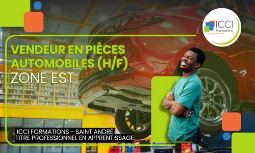 Vendeur en Pieces automobiles EST