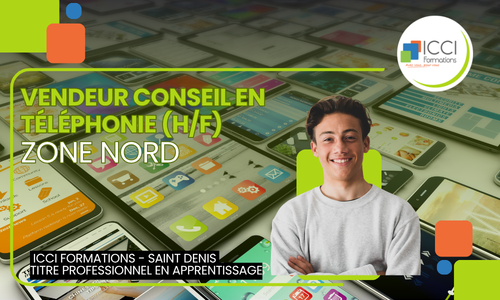 Vendeur en Telephonie Nord