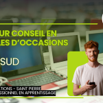 Vendeur en Article doccasions SUD