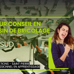 Vendeur en Magasin de Bricolage SUD