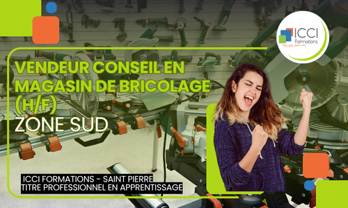 Conseiller de vente en Magasin de Bricolage (H/F) - Zone SUD 14 Vendeur en Magasin de Bricolage SUD