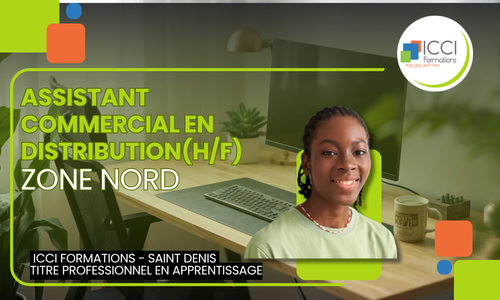 Assistant commercial Distrib Nord