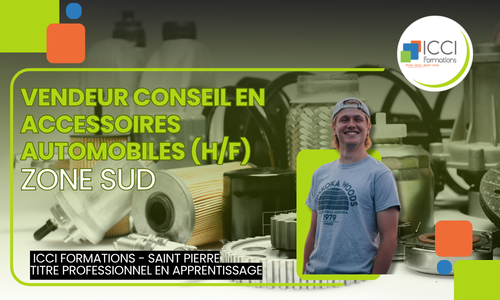 Vendeur en Accessoires automobiles v2 SUD