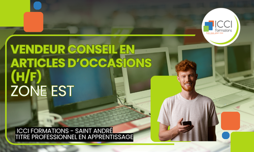 Vendeur en Article doccasions EST