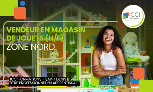 Vendeur Conseil magasin de jouets - (H/F) 14 Vendeur en Magasin de jouet Nord