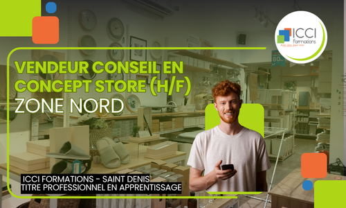 Vendeur en concept Store Nord