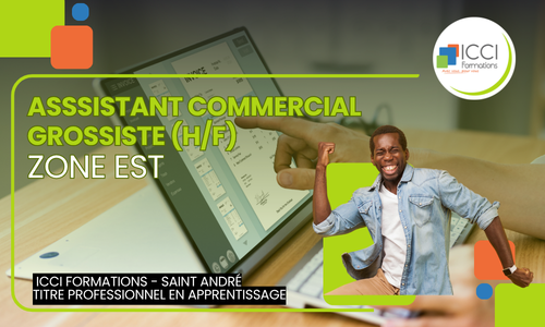 Assistant commercial Grossiste Est