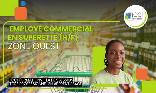Employé commercial en supérette (H/F) - Zone Ouest 14 Employe commercial en Magasin en superette Ouest