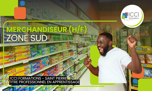 Merchandiseur SUD