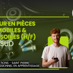 Vendeur Pieces Automobile SUD