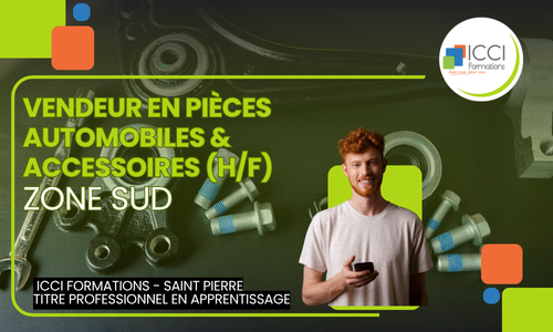 Vendeur Pieces Automobile SUD