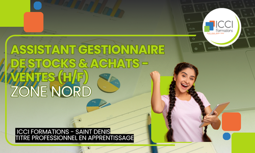 Assistant Gestionnaire de Stocks Achats Ventes Est