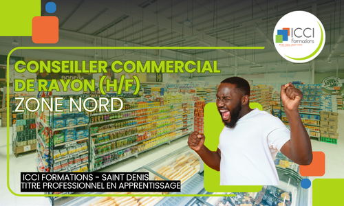 Conseiller commercial de Rayon (H/F) - Zone Nord 14 Conseiller commercial de Rayon Nord