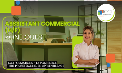 Assistant commercial Ouest