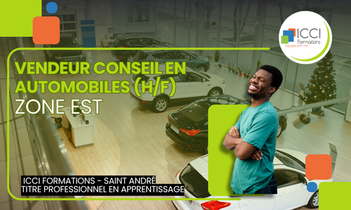 Vendeur Automobile Est 1