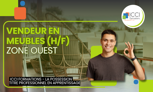 Vendeur en Meubles Ouest